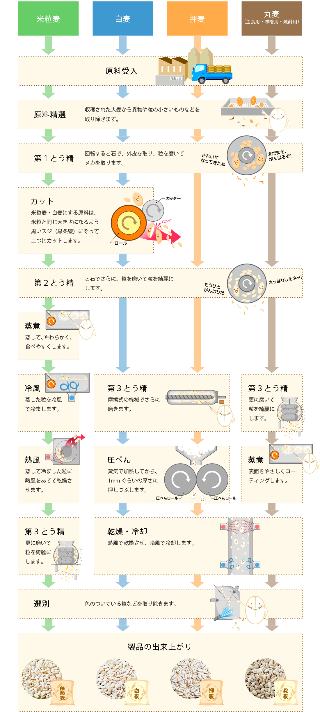 精麦が出来るまで