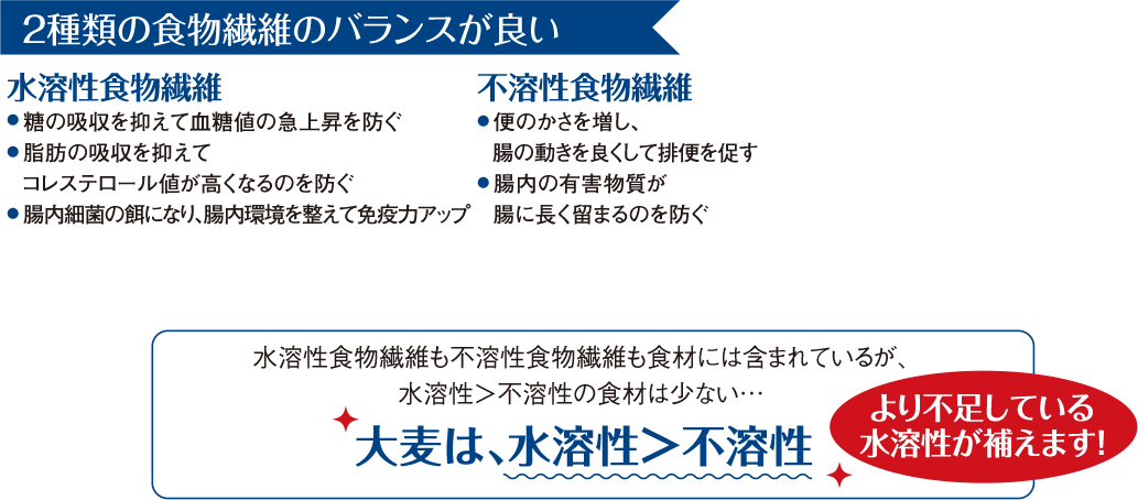 2種類の食物繊維のバランスが良い
水溶性食物繊維
不溶性食物繊維