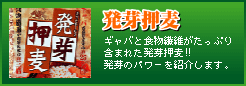 ���艟��