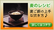 ���̃��V�s